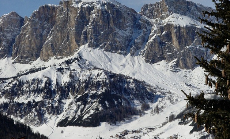 Val Stella Alpina - Edelweiss