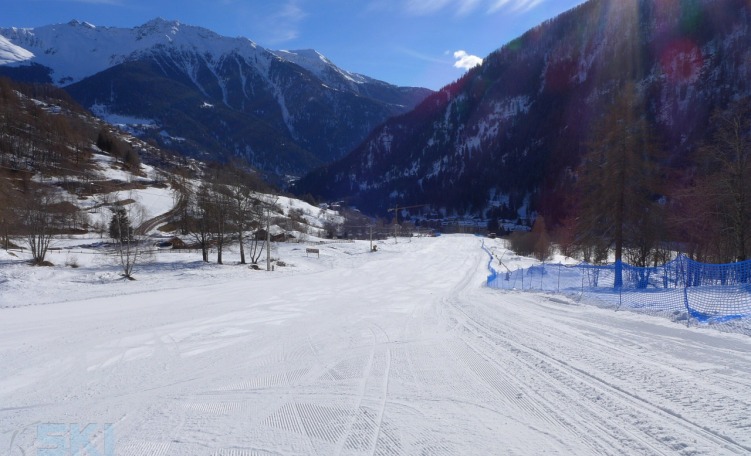 Mezoli