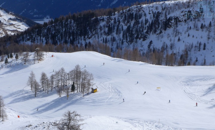 Neve