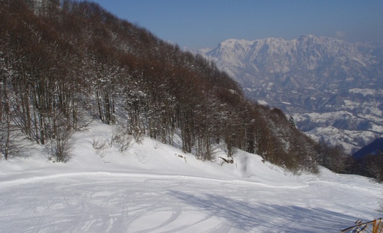 Pista da sci Montefalcone