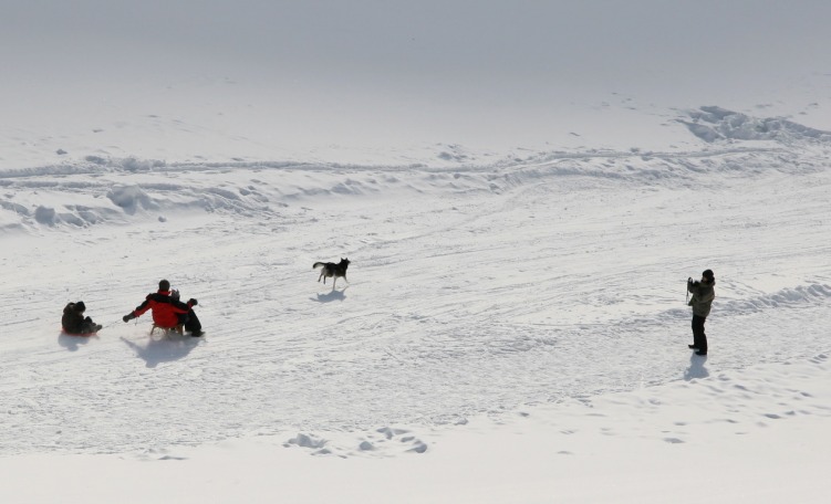 Slittino in Famiglia