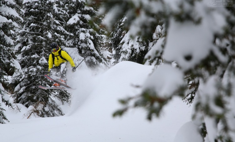 Salto in neve fresca