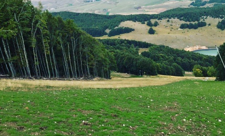 Inerbimento piste Pizzalto