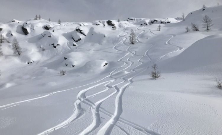 Tracce fuoripista al Tognola