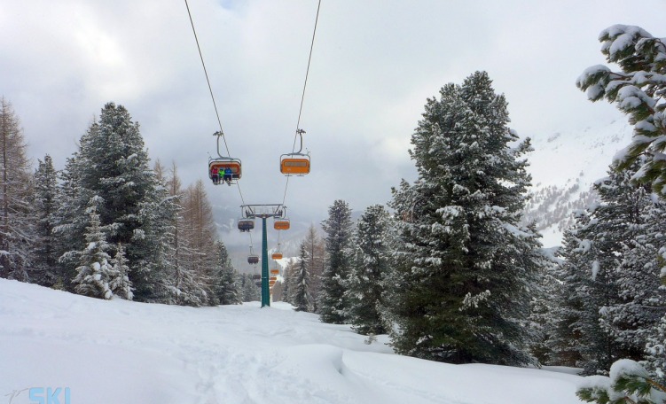 Fuoripista Alpe Lusia - Bellamonte