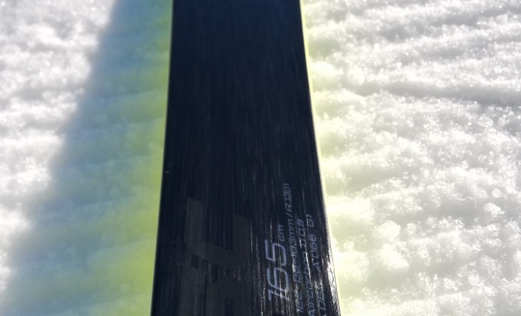 Fischer RC4 WC SC (2019/2020)