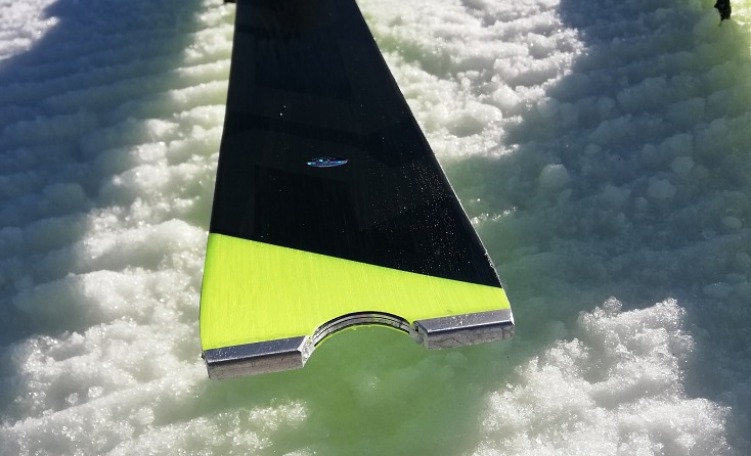 Fischer RC4 WC SC (2019/2020)