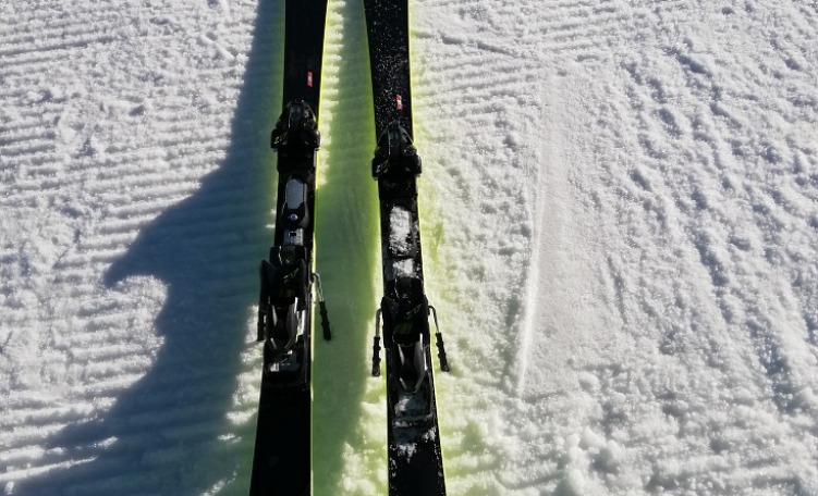 Fischer RC4 WC SC (2019/2020)