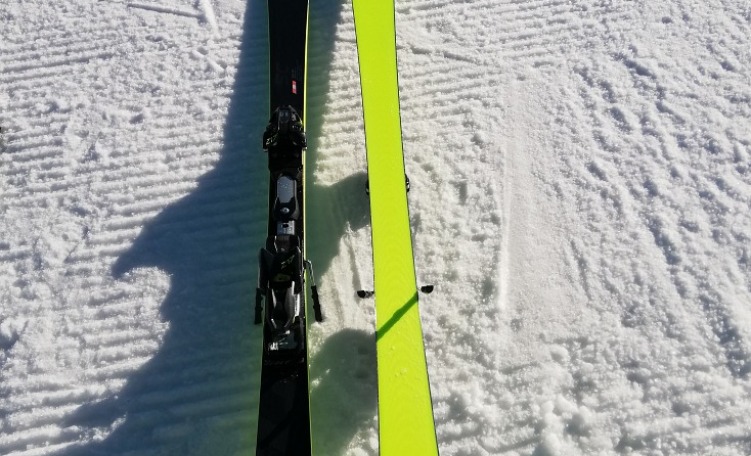 Fischer RC4 WC SC (2019/2020)