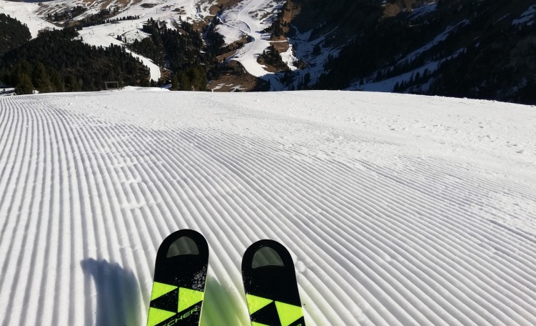 Fischer RC4 WC SC (2019/2020)