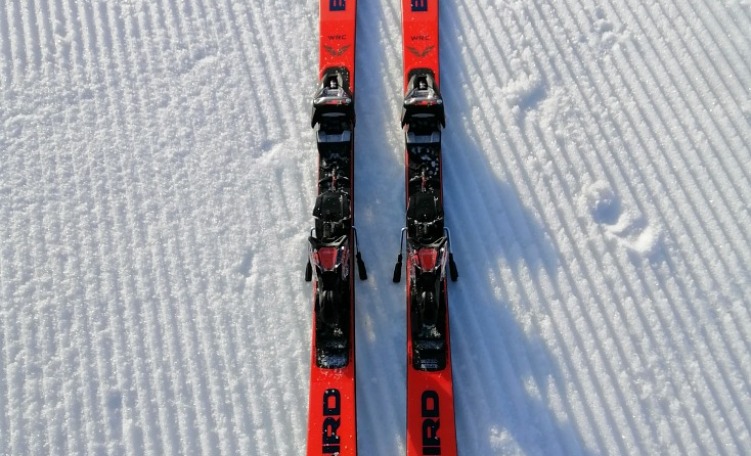 Blizzard Firebird SRC