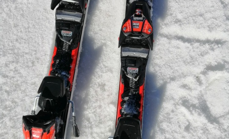 Nordica Doberman SLR RB FDT