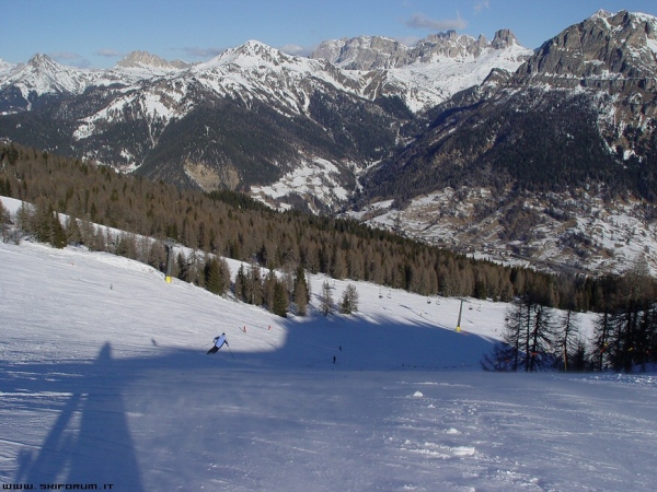 foto pista fertazza e selva di cadore
