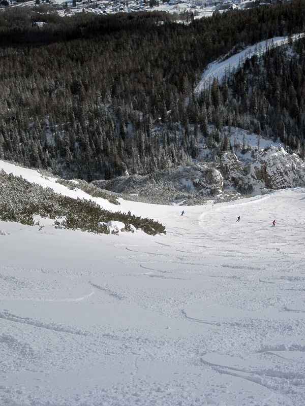 foto forcella rossa