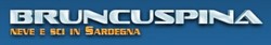 logo Bruncu Spina Fonni