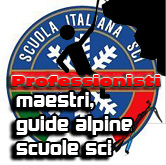 icona prof-advisor