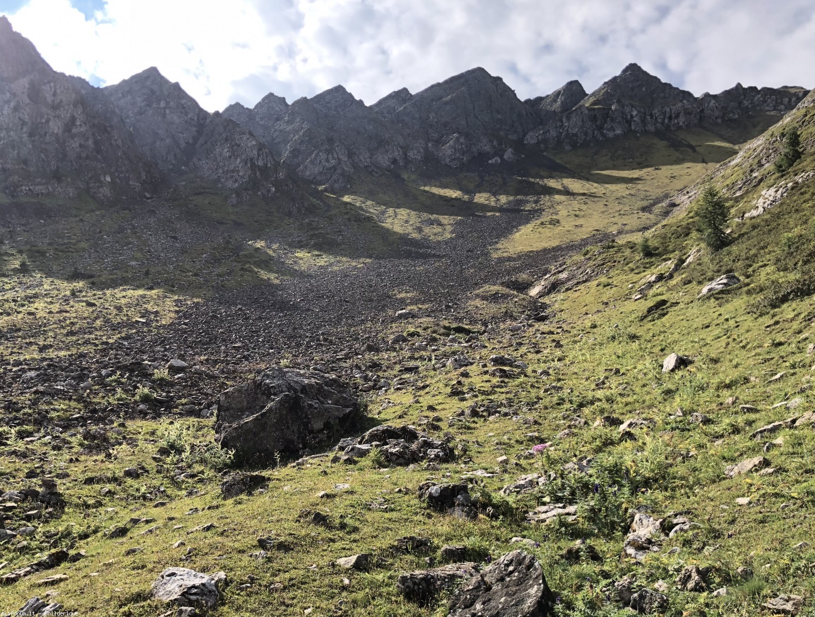 220646-giau-ambr18.jpg