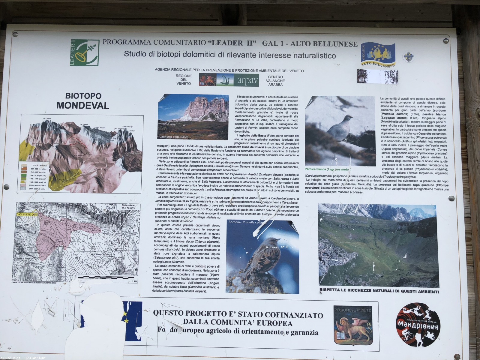 220665-giau-ambr33.jpg