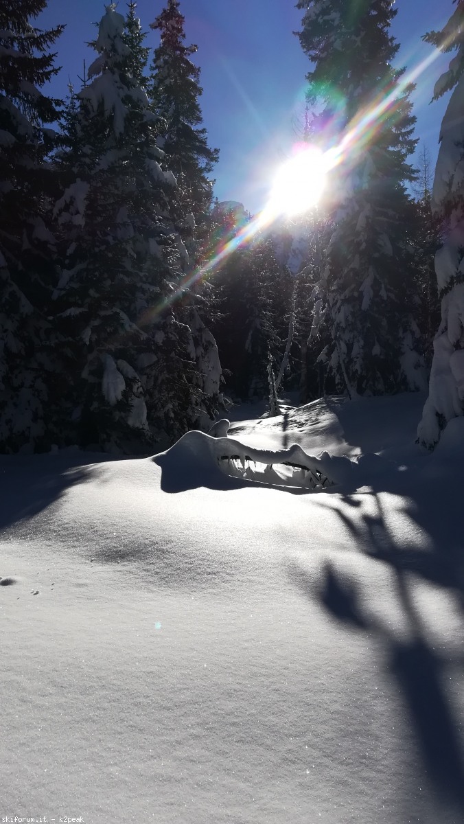 234191-img20190206094620.jpg
