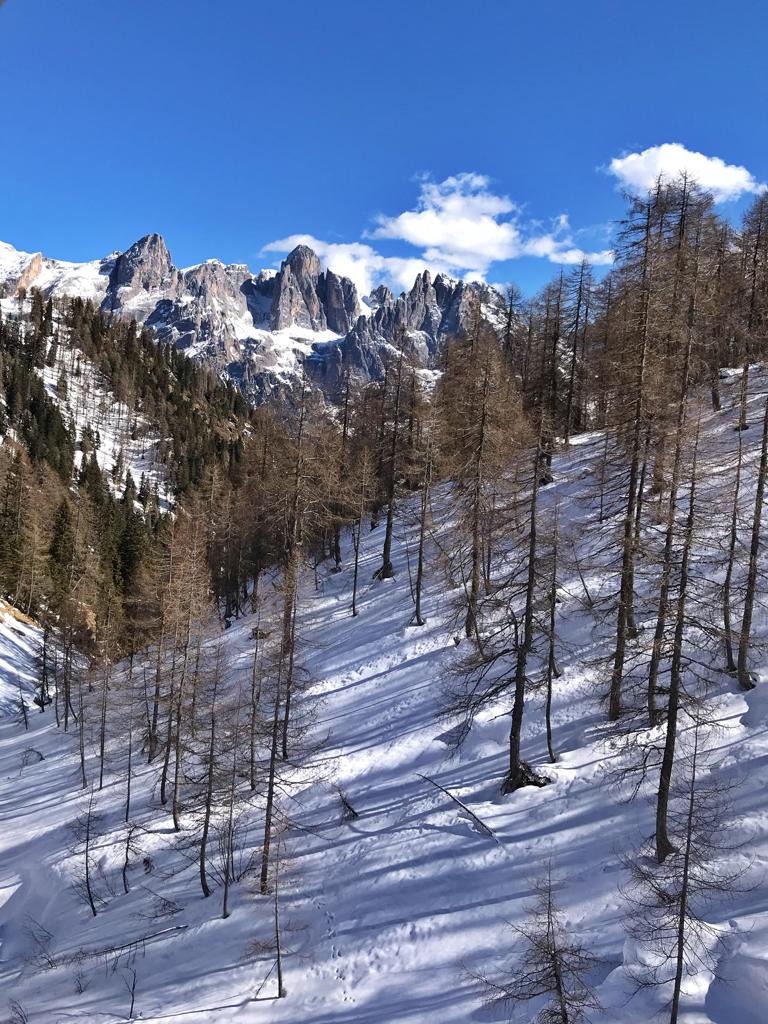 238708-2019-03-05-at-19.55.07-5.jpg