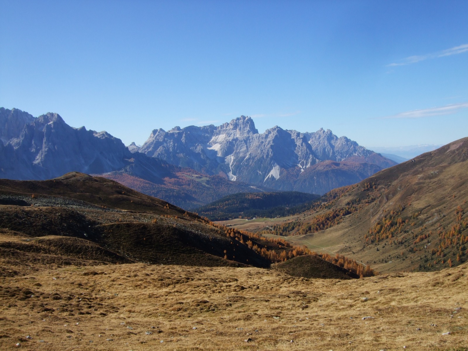 226842-dscf4855.jpg