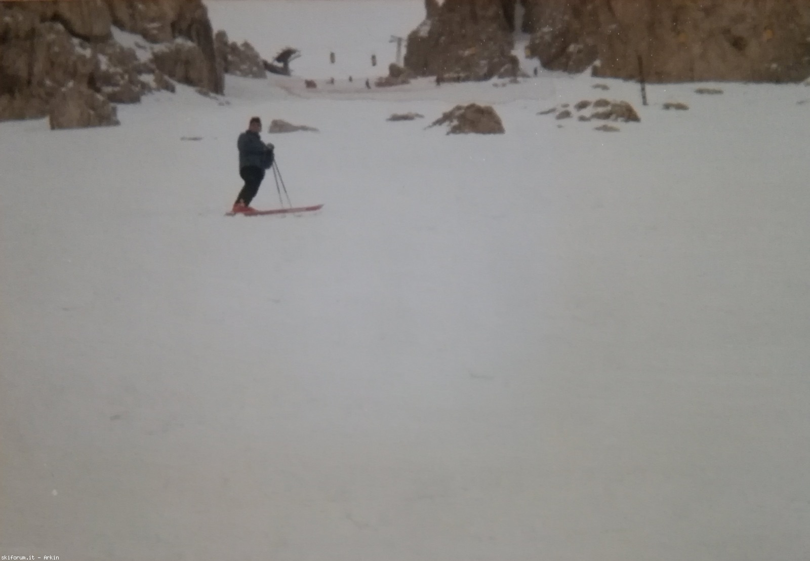 234730-forcellasella1990.jpg