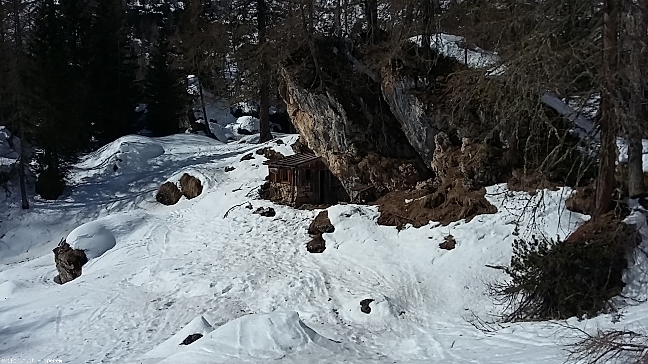 237087-20190303131525.jpg