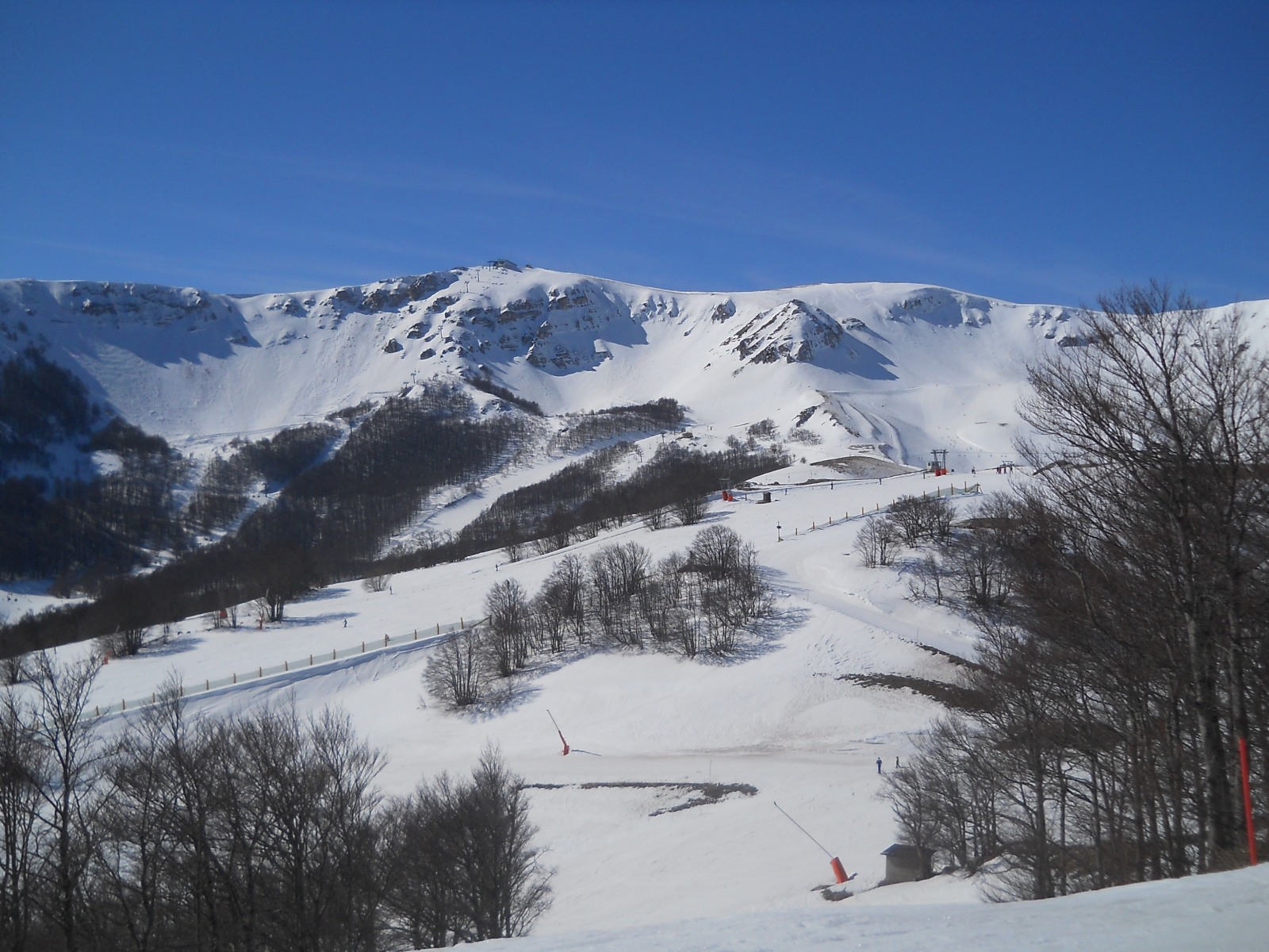 237401-dscn6690.jpg
