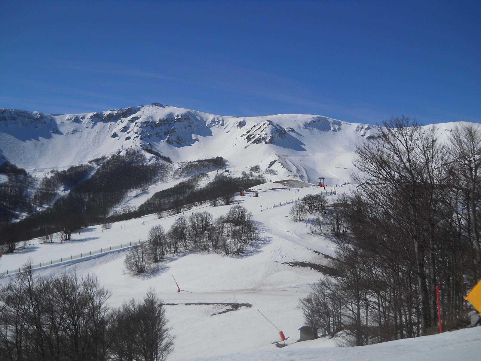 237403-dscn6695.jpg