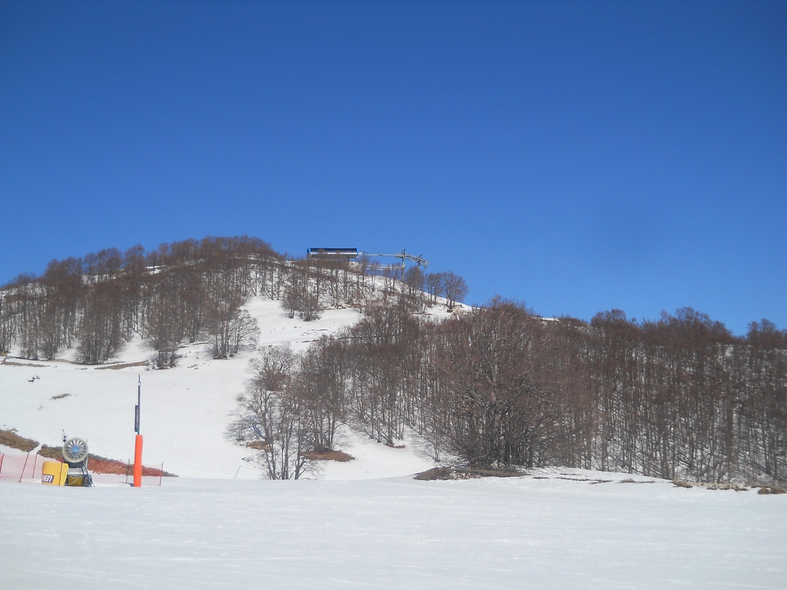 237404-dscn6698.jpg