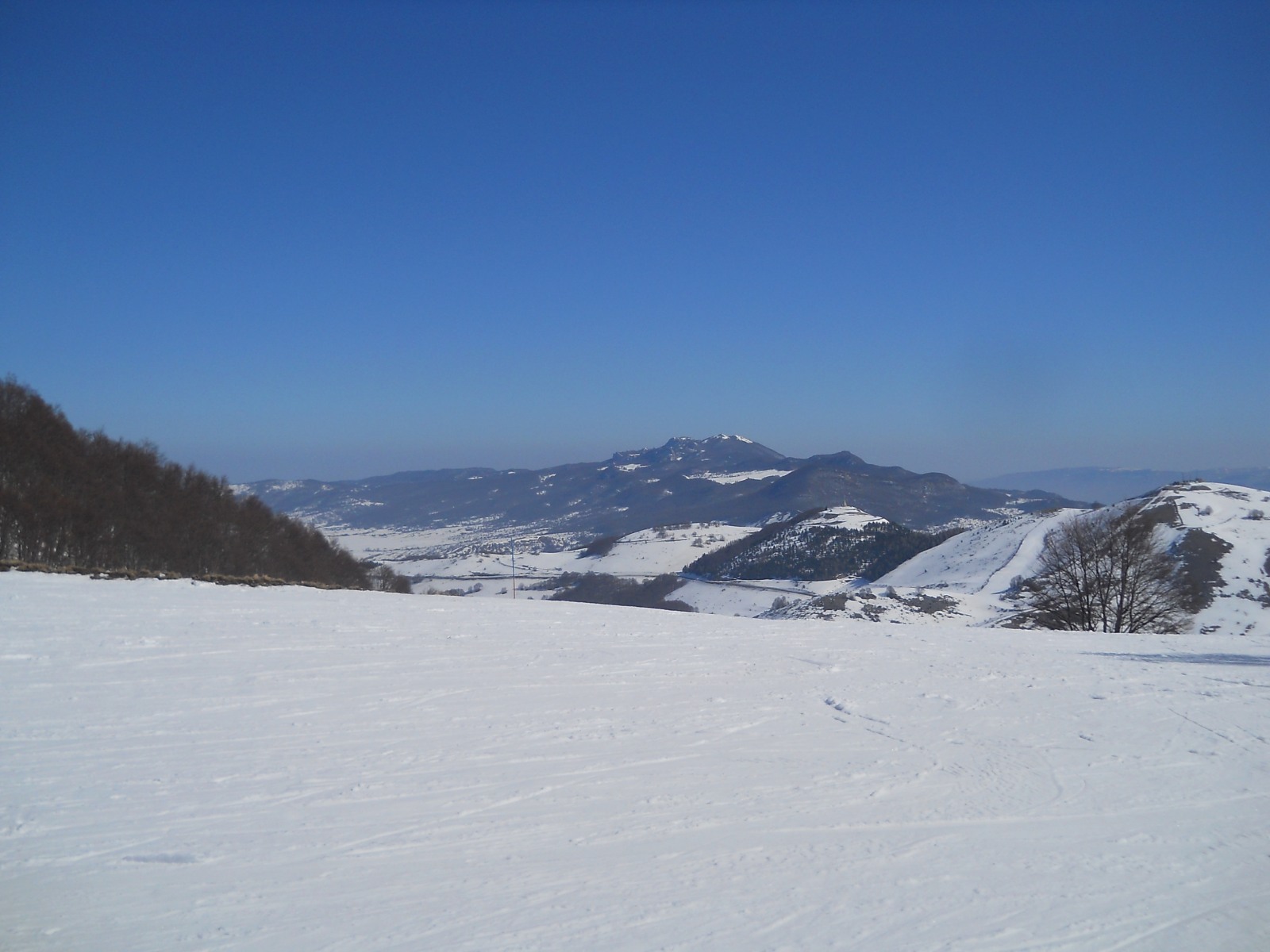 237405-dscn6699.jpg