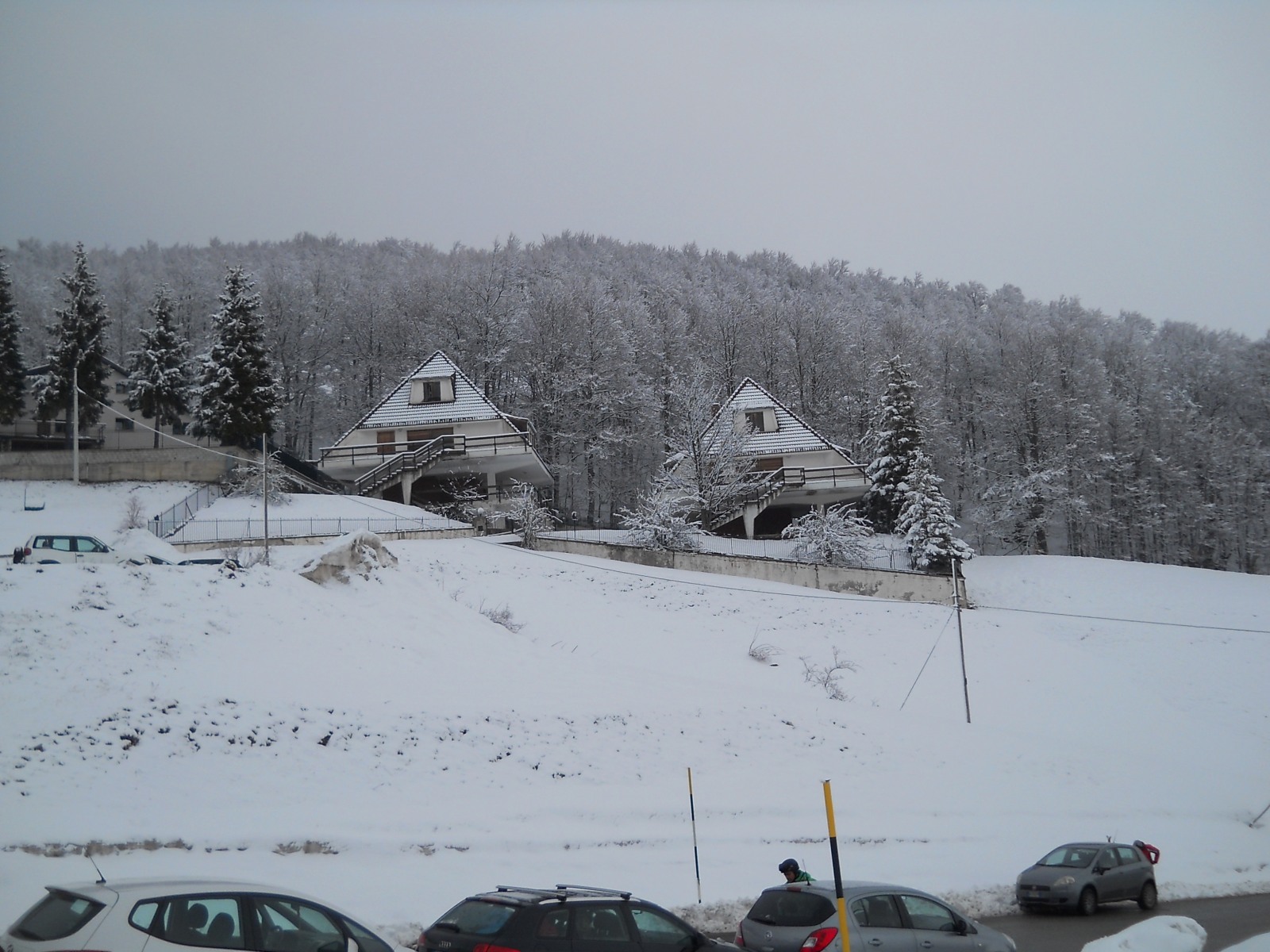 237407-dscn6718.jpg