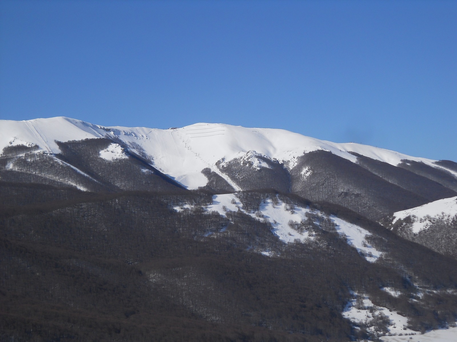 237413-dscn6738.jpg