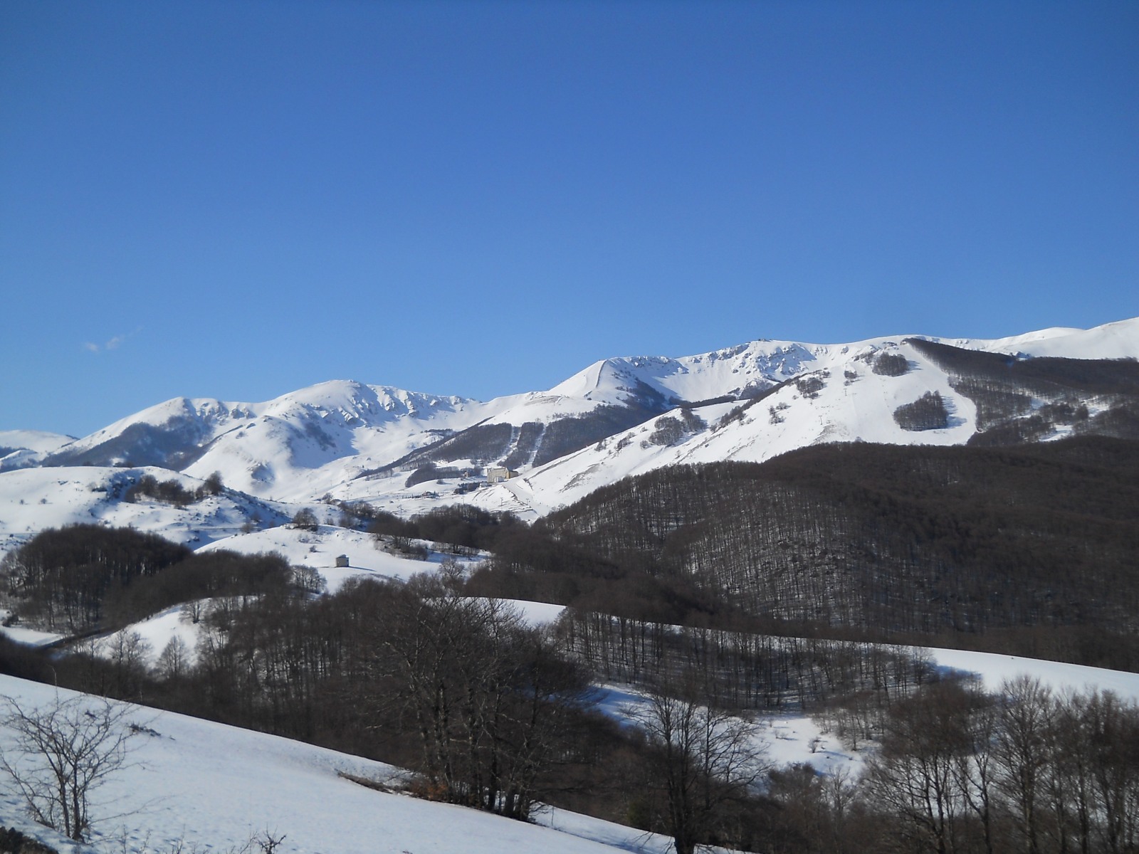 237414-dscn6746.jpg