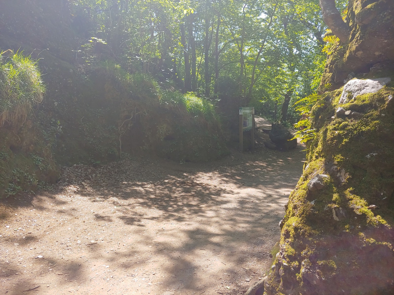 244361-20190531111703hdr.jpg