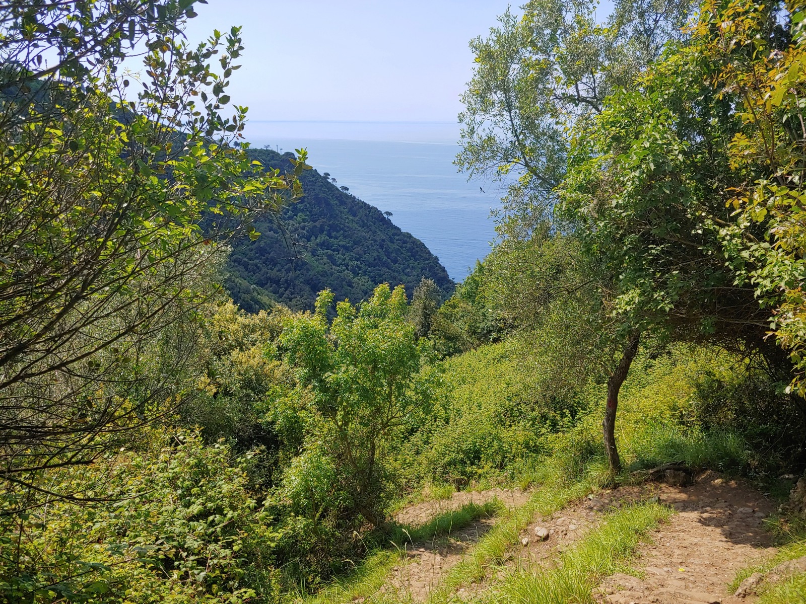 244364-20190531113951hdr.jpg