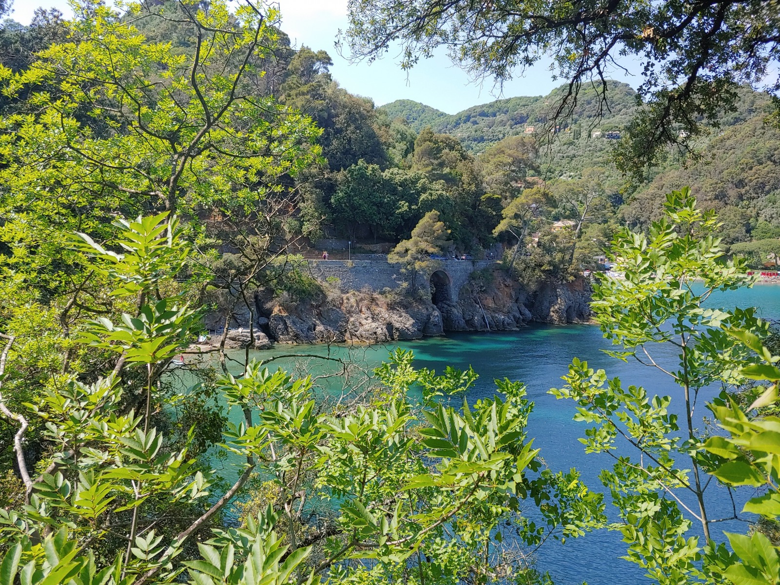 244382-20190531151048hdr.jpg