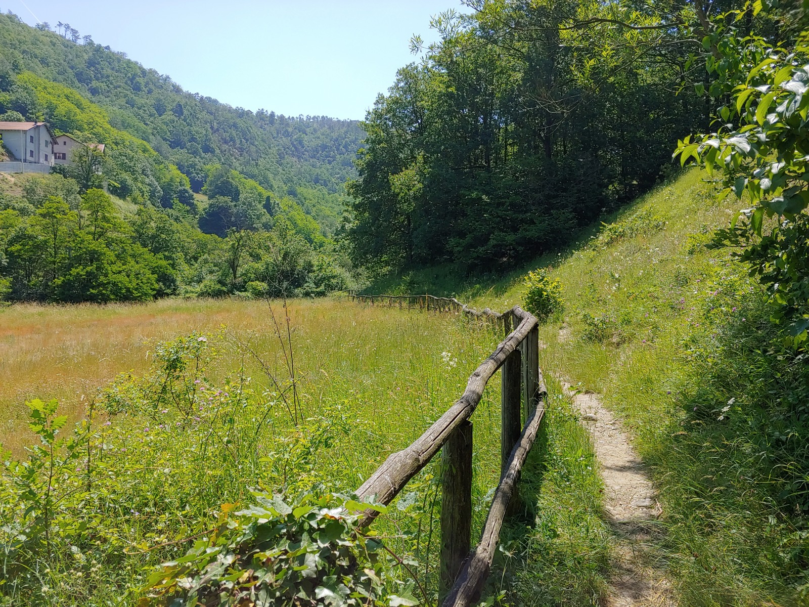 244821-20190616120050hdr1.jpg
