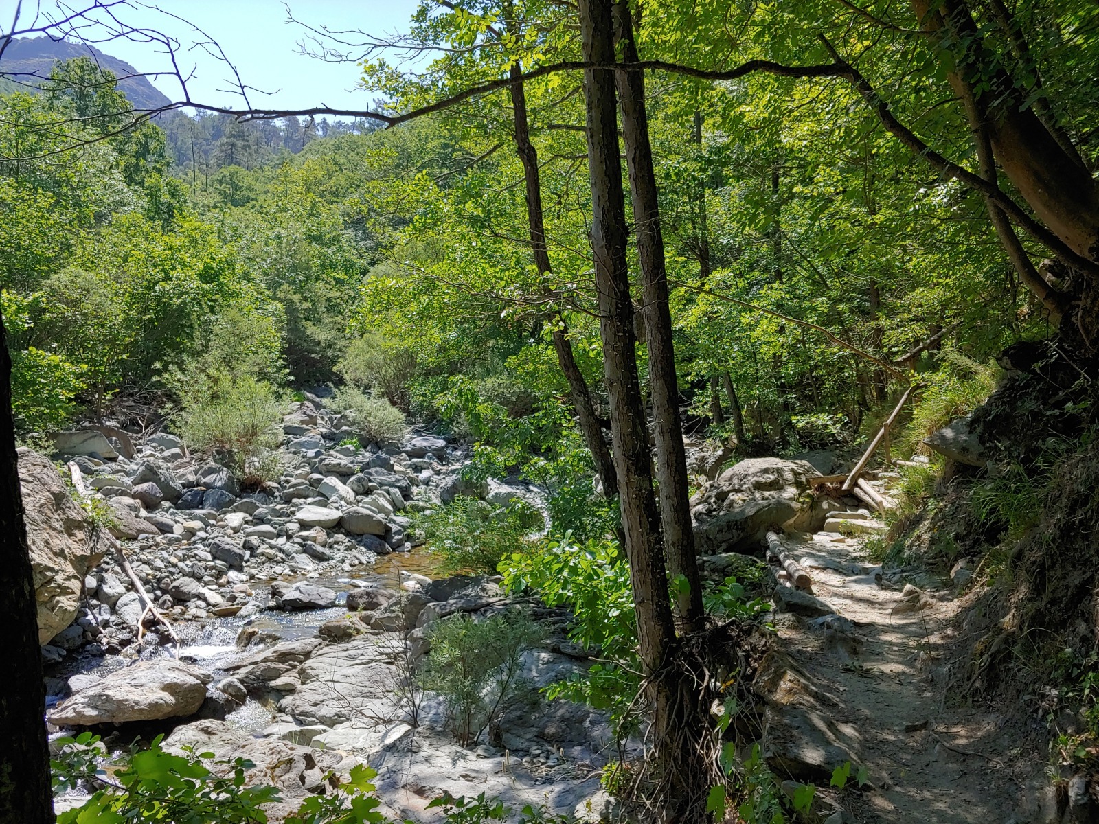 244822-20190616120243hdr1.jpg