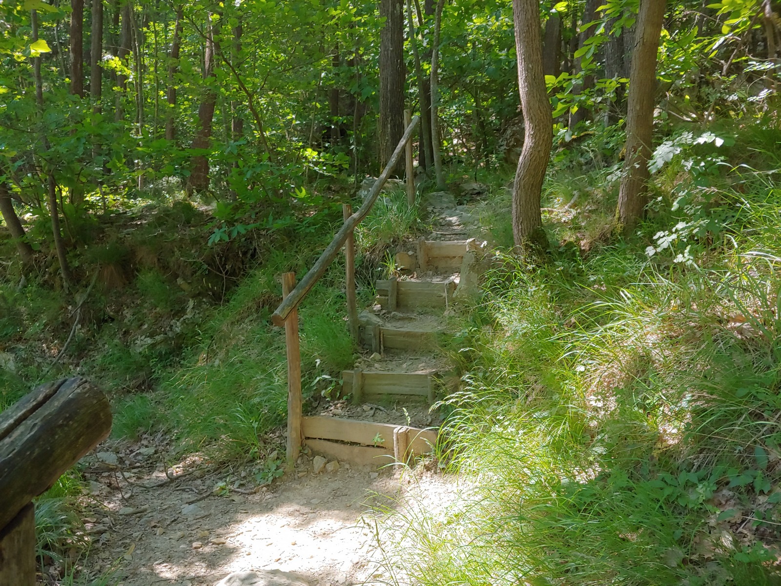 244823-20190616120420hdr1.jpg