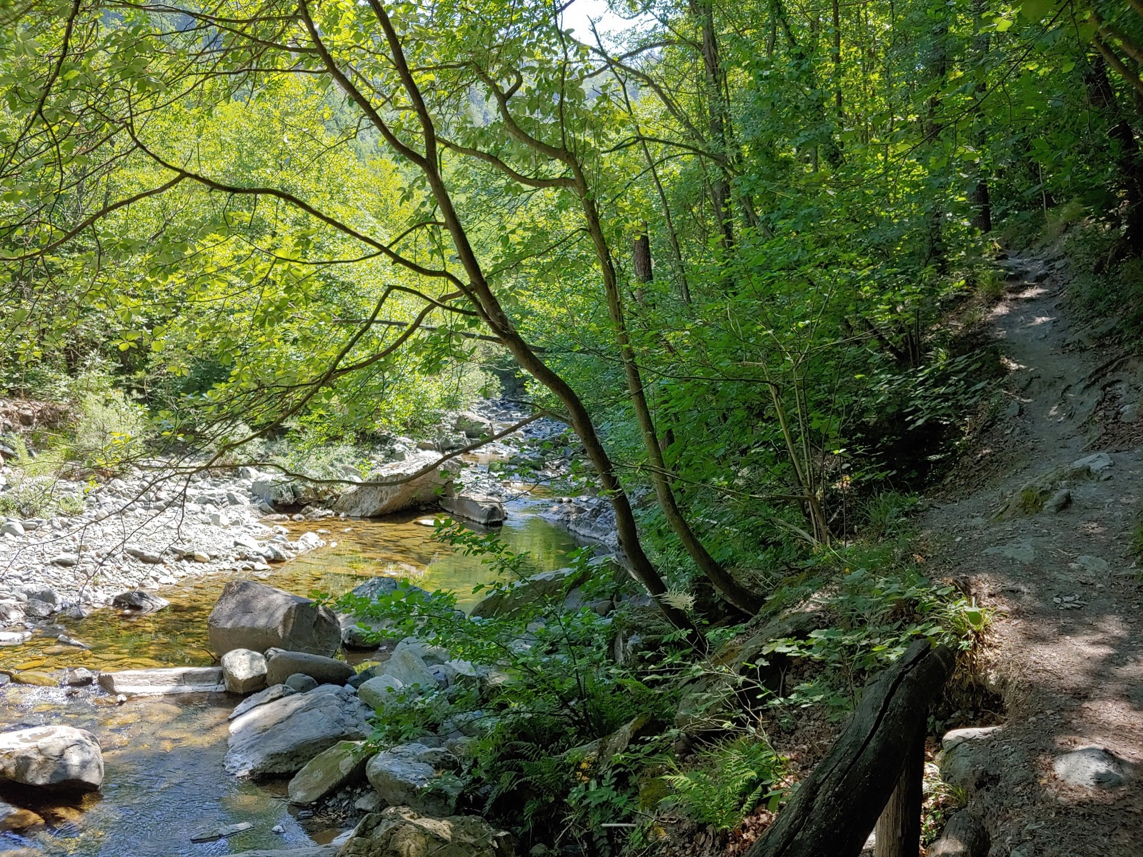 244824-20190616120608hdr1.jpg