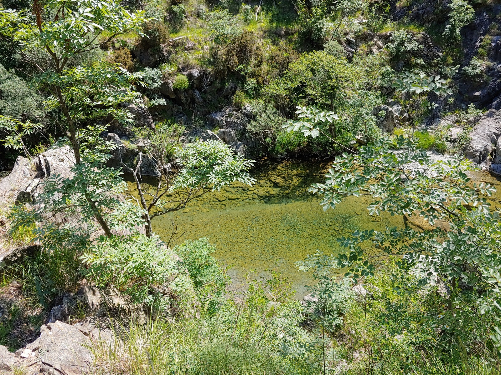 244825-20190616121137hdr.jpg