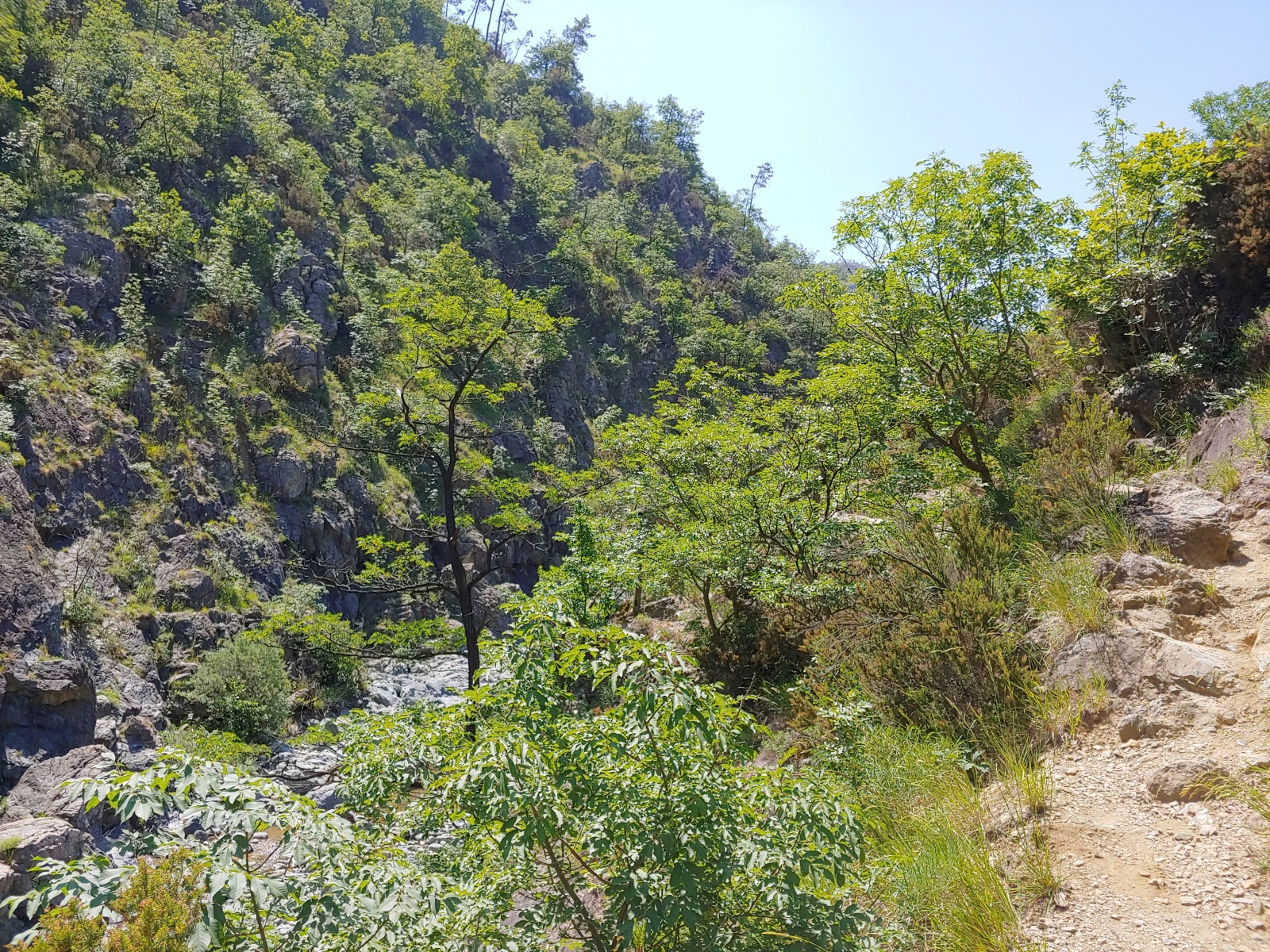 244826-20190616121151hdr.jpg