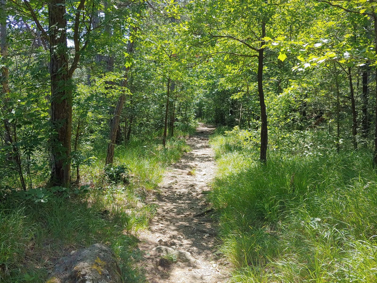 244832-20190616123733hdr1.jpg