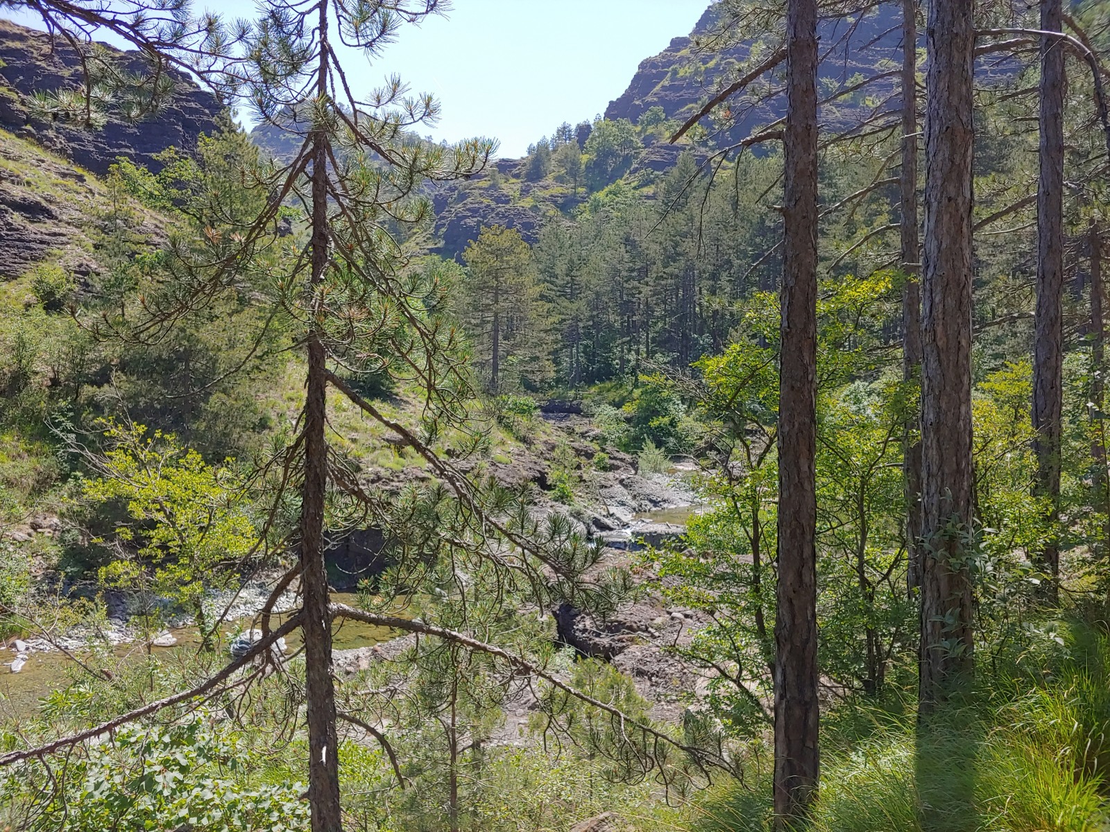 244833-20190616124019hdr.jpg
