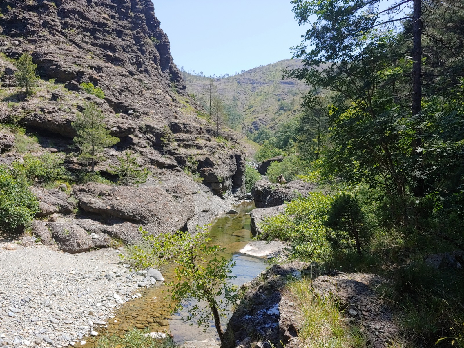 244837-20190616124444hdr.jpg