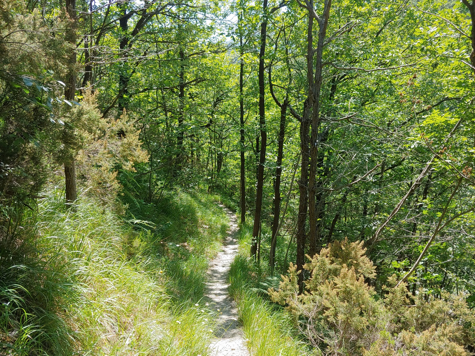 244849-20190616133125hdr.jpg