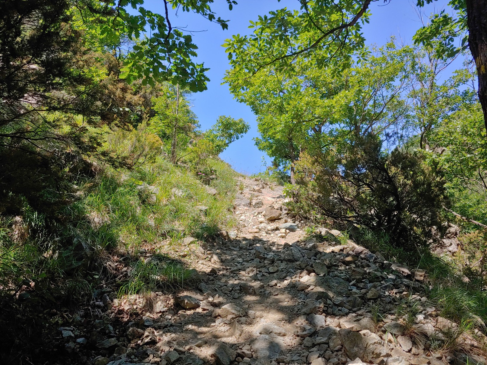 244853-20190616151944hdr.jpg