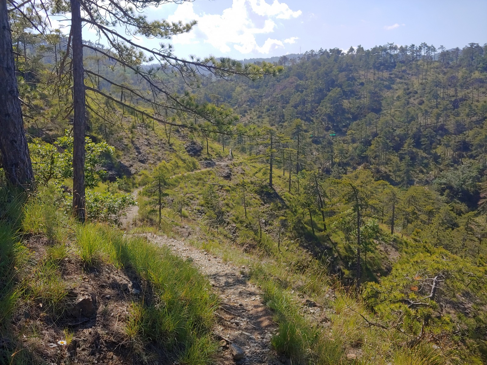 244861-20190616162445hdr.jpg