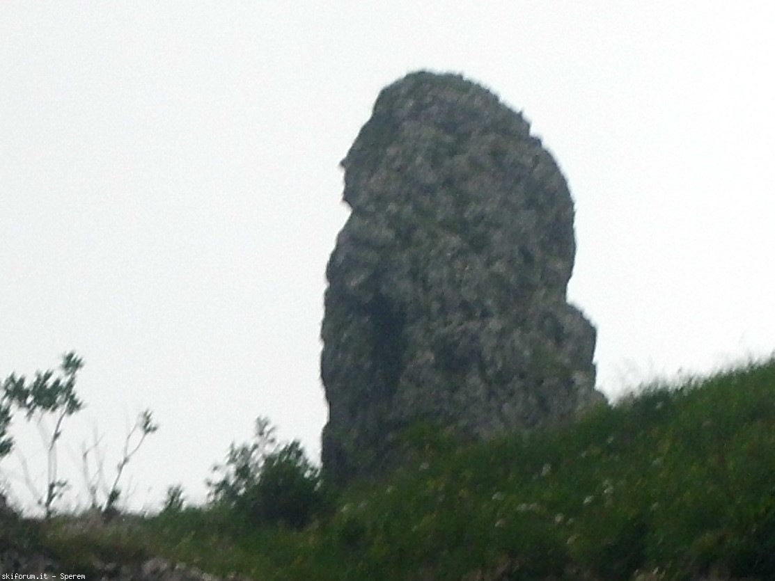 247151-cimg4047-2.jpg